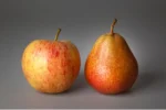 comparaison entre pomme et poire