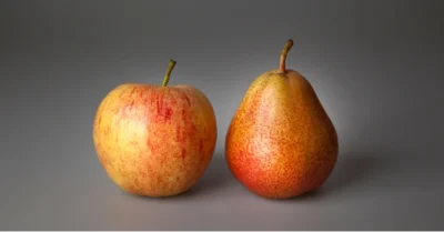 comparaison entre pomme et poire