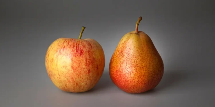 comparaison entre pomme et poire