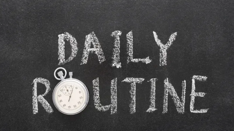 CONCEPT DE DAILY ROUTINE