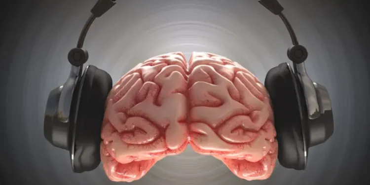Cerveau humain enregistrant des informations avec un casque. Tracé de détourage inclus