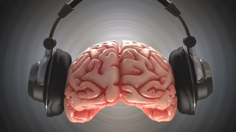 Cerveau humain enregistrant des informations avec un casque. Tracé de détourage inclus