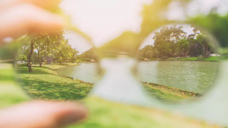Vision claire, reflet des lunettes pour voir la nature
