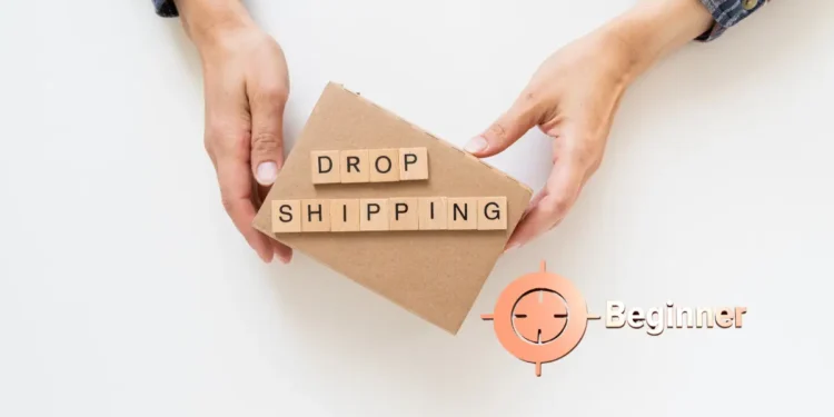 Dropshipping pour les débutants, image montrant des mains avec un carton mentionnant dropshipping