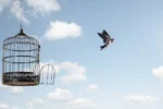 Oiseau s'envolant d'une cage ouverte. Ciel bleu avec nuages et soleil en arrière-plan