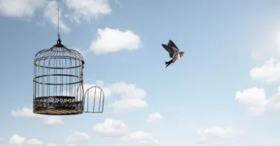 Oiseau s'envolant d'une cage ouverte. Ciel bleu avec nuages et soleil en arrière-plan