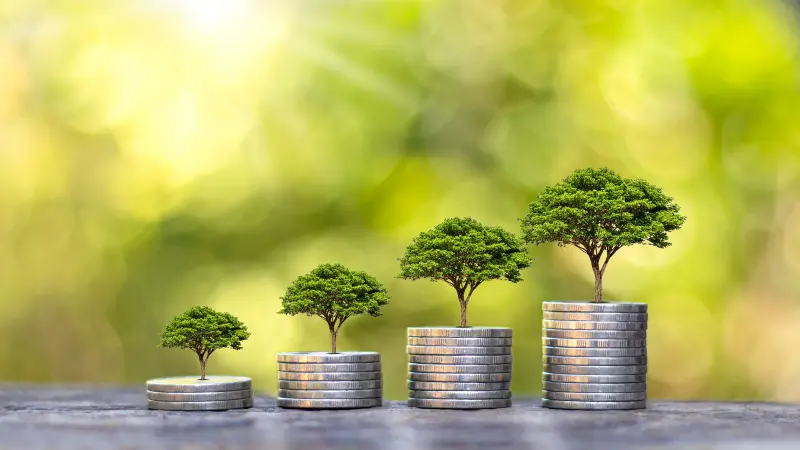 L'arbre pousse sur un tas de pièces de monnaie et du parquet, avec en arrière-plan un paysage vert flou. Concept de croissance financière.