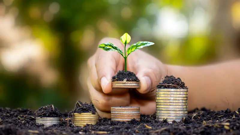 Main d'investisseur tenanant une pièce avec un arbre poussant sur le concept de réussite financière et d'investissement
